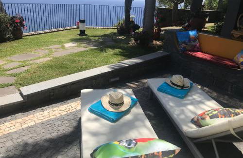 Zeza´s Garden - Photo 8