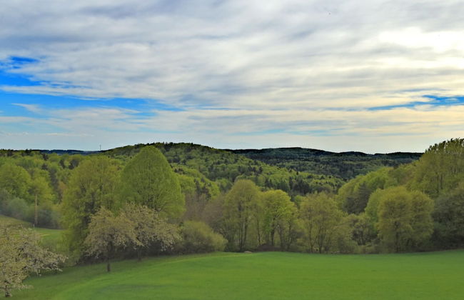 Garden Apartment, Gobweinstein - Foto 23