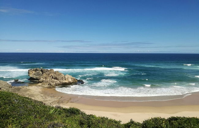 Experience Nature at Brenton on Sea With Breakers Dolphins and Whales - Foto 25