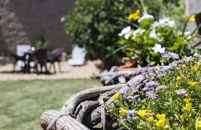 Posada Real del Buen Camino - Foto 40