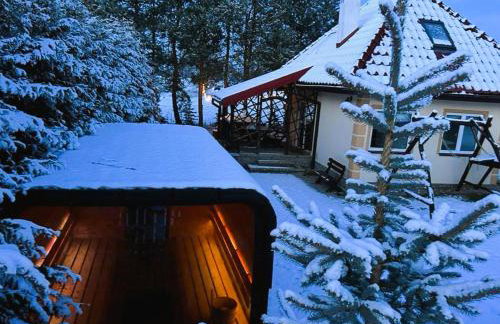 Mazurska Chatka - Foto 7