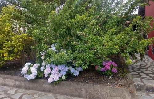 Casa Rural Amapola - Foto 22