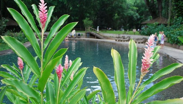 Chukka Appleton Estate & YS Falls - Negril - Foto 4