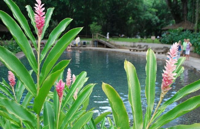 Chukka Appleton Estate & YS Falls - Negril - Foto 4