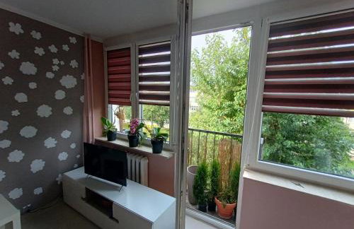 Retro Apartament blisko Parku - Photo 12