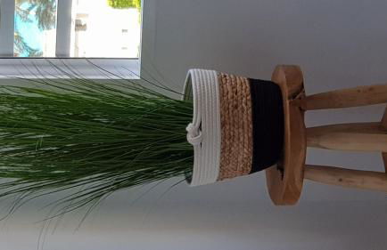 Sol Mediterráneo - Palm Beach 5 - Photo 11