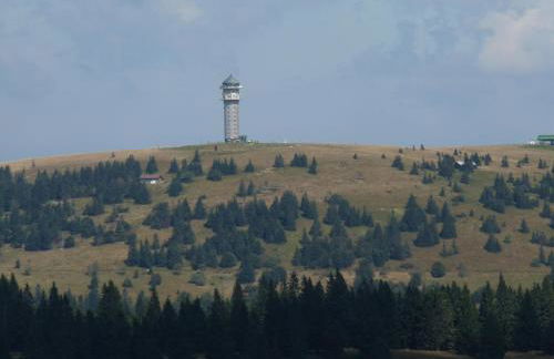 Landhotel und Apartments Sonneck - Photo 29