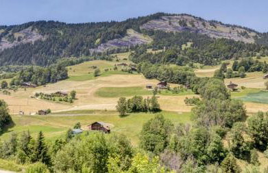 Chalets des Evettes- appartement vue montagne - Foto 1