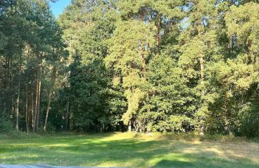 Dobrostan Domek w Naturze - Foto 19