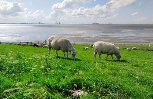 Nordapart Anne Bessrich - Foto 24