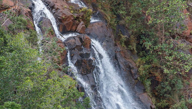 Day Trip to Sierra Cristal Mountain - Foto 4