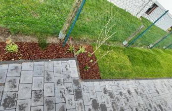 Gartencharlet - Foto 21