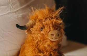 The Lodge at Highland Farms - Foto 9