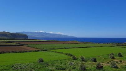 Azores Physis Apartment - sea view - Photo 2