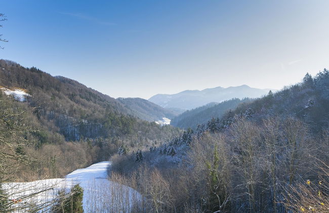 Pool & Wellness Chalet Sunshine - Photo 43