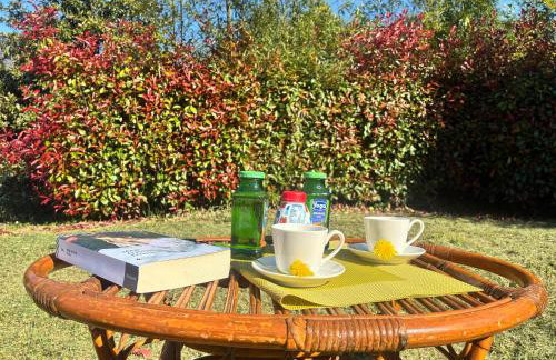 Il gatto e la volpe 1 - Foto 45