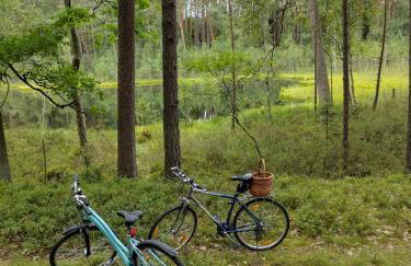 Dom pod Jabłonką - Foto 15