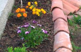 Visitar Bioucas II - Casa Tradicional Familiar - Foto 39