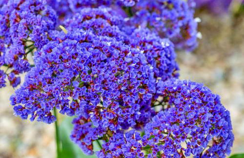 Retro Cottage, Hot Tub, Putting Green, walk to all - Foto 23