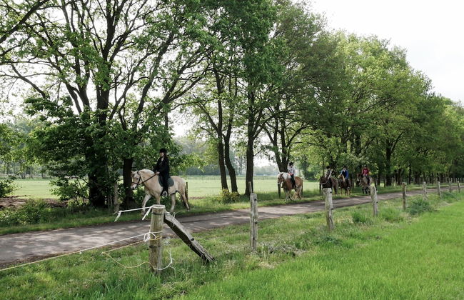 Apartment in Eibergen Near Zwillbrocker Venn - Foto 37