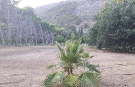 Villa Dunes 350m from the sandy beach - Foto 67