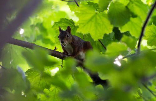 Familiennest-Eifel - Photo 26