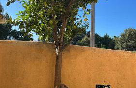 Cottage da Fonte Seca - Foto 47