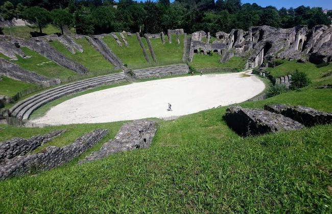 Les Chênes Verts - Foto 26