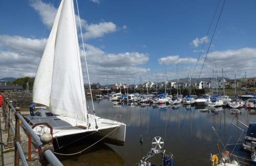 Cosy Quarrymans Cottage in Snowdonia - Foto 50