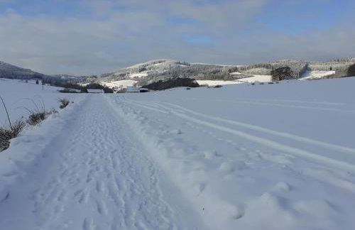 Ferienwohnung Zum Tannenwirt - Foto 13