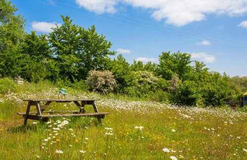 The Old Cottage Aberporth - Photo 10