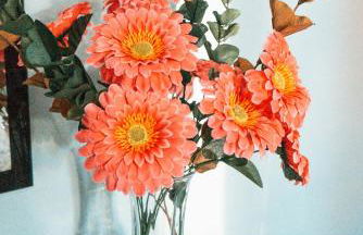 Cordeiro's House - Photo 28