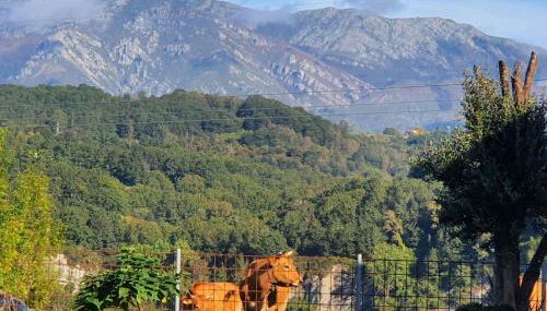 La Torre de Llames Arriondas VV-1401-AS - Foto 2