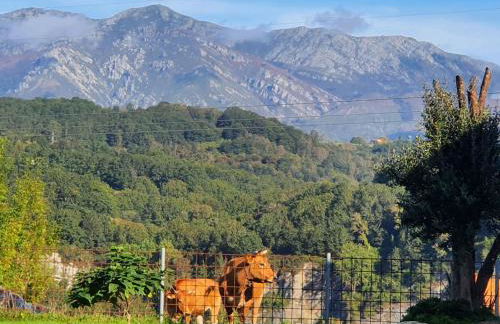 La Torre de Llames Arriondas VV-1401-AS - Photo 2