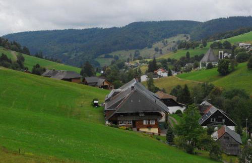 Drei Tannen - Foto 43