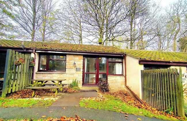 Painters Cottage, 2-bed Chalet nr St Ives & Hayle - Foto 25