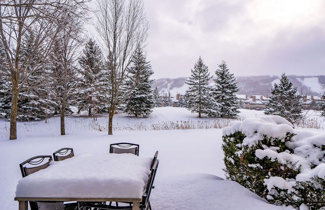 Blue Mountain - Photo 41