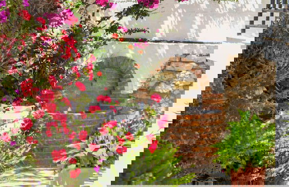 Mariana Apartments - Photo 62