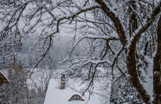 Przystanek Ropienka Leśniczówka - Foto 3
