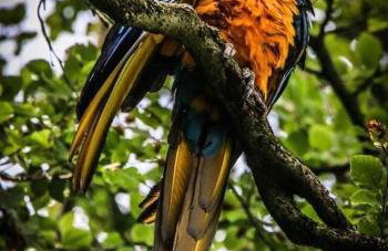 La'l Stenkrith - Photo 22