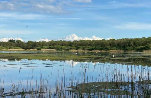 Courtyard Cottage - Photo 20