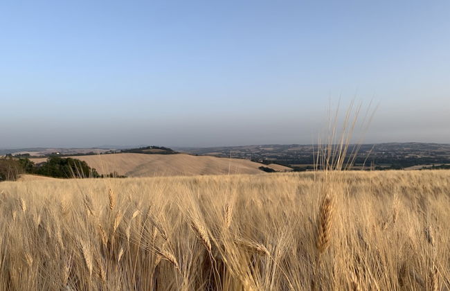 Naturaverde Country House - Photo 65