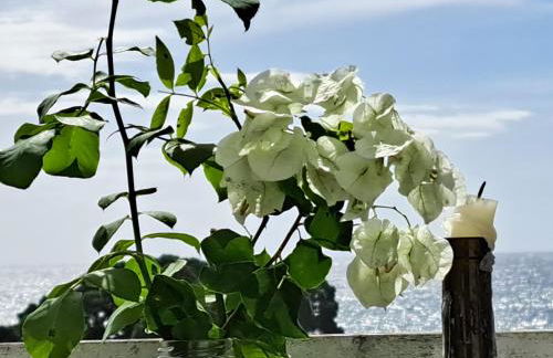 Friends'house - azores - Foto 7