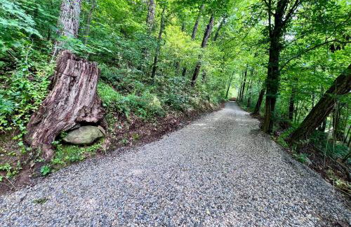 Burton Ridge Cabin - Foto 24