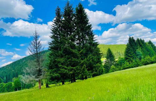 GÓRSKA CISZA - Duży, komfortowy, wyjątkowy Apartament - Foto 66