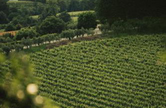 La Ghiandaia Farmhouse - Photo 17