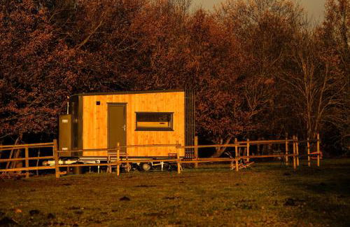 Homnest - Clairiere des Animaux - 1h de Toulouse - Photo 21