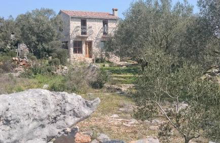 Holiday Home Strpuncina - Photo 20