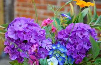 Beutower Muhle Ferienwohnung - Foto 18