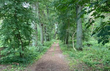 Ferienhaus am Hafen - Foto 6